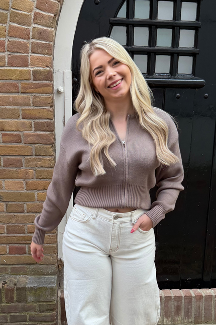 JOY zipper vest - taupe